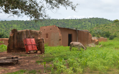 Realización de un monitoreo socioeconómico – Burkina Faso