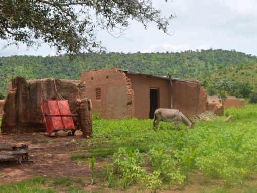 Realización de un monitoreo socioeconómico – Burkina Faso