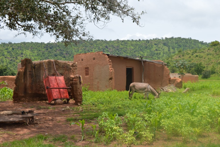 Realización de un monitoreo socioeconómico – Burkina Faso