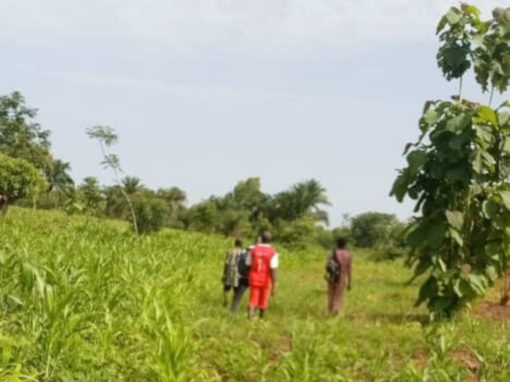 Actualisation du cadre logique et des valeurs de base des indicateurs du PAVICC – Bénin
