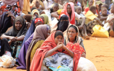 Élaboration d’une étude de diagnostic participatif et rédaction de plans d’action sur la mise en œuvre de la loi nationale sur les réfugiés – Djibouti