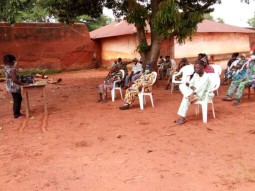 Diligences environnementales et sociales du projet de musée d’Abomey – Bénin