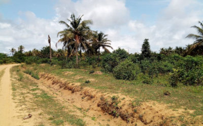 Socio-economic situation of people affected by the biomass plant project – Ivory Coast