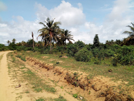 Situation socio-économique des personnes affectées par le projet de centrale de biomasse – Côte d’Ivoire