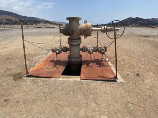 Realization of the social, environmental and HSE audit of the geothermal project of Lake Assal – Djibouti