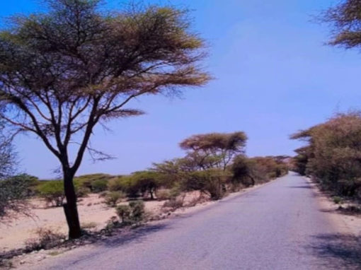 Mise à jour des rapports de cadrage E&S des projets de réhabilitation de la route Burao-Berbera et d’extraction d’eau aquifère de Laasdhure – Somaliland