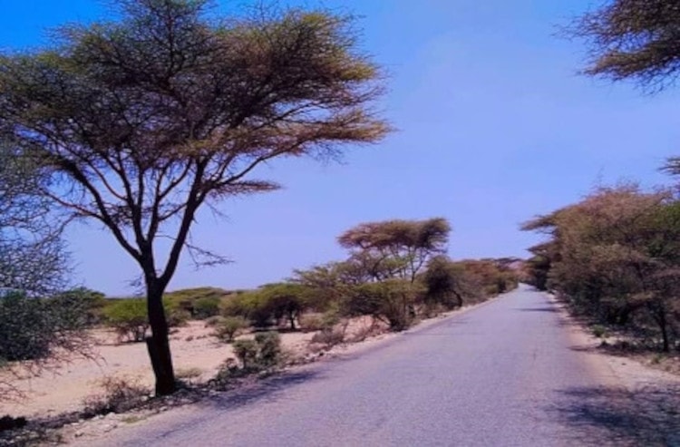 Update of the E&S screenings of the Burao-Berbera Road rehabilitation and Laasdhure aquifer water extraction projects – Somaliland