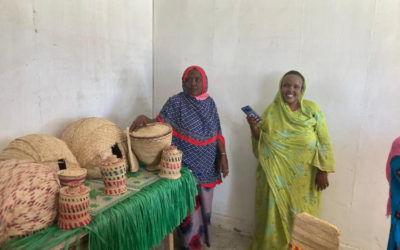 Realización de una auditoría ambiental y social para el proyecto de exploración geotérmica en la región del Lago Assal en Djibouti