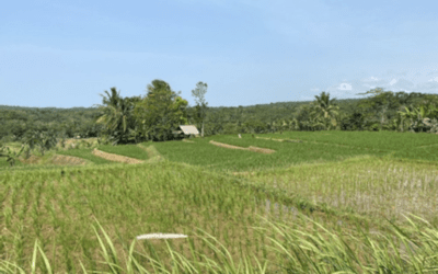EIES et PAR du Projet éolien de la province de Banten – Indonésie