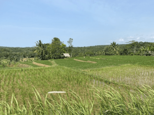 EIES y PAR del Proyecto Eólico de la provincia de Banten – Indonesia