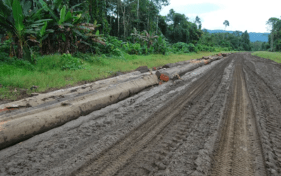 Evaluation de la réduction de l’emprise du « Projet LNG – PNG » de TotalEnergies – Papouasie Nouvelle Guinée