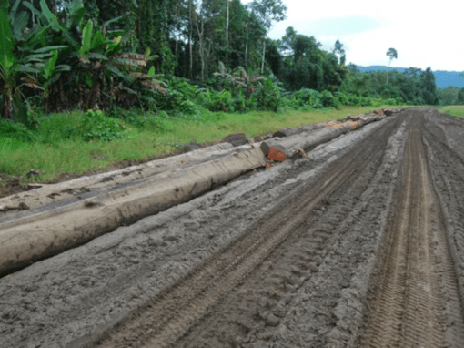 Footprint reduction effort assessment of TotalEnergies’ LNG – PNG Project – Papoua New Guinea