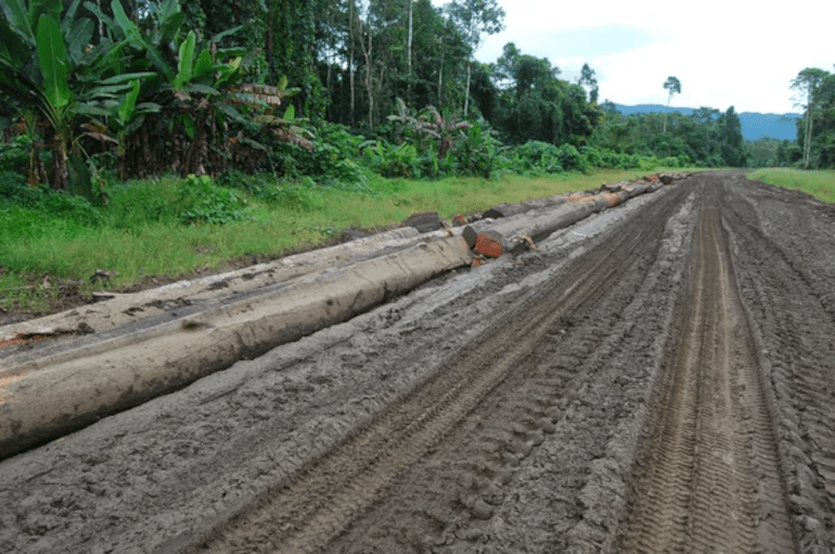 Evaluation de la réduction de l’emprise du « Projet LNG – PNG » de TotalEnergies – Papouasie Nouvelle Guinée