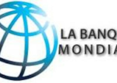 Evaluation des capacités institutionnelles en gestion environnementale et sociale – Guinée