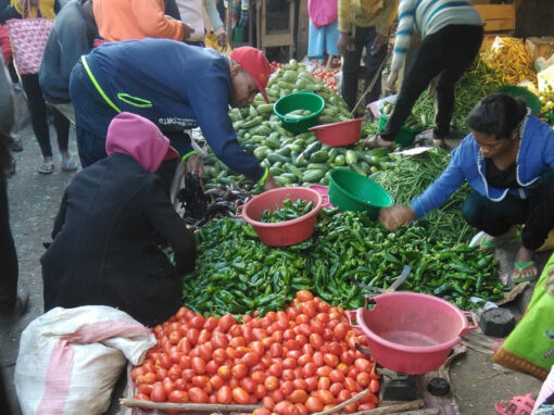 Estudio sobre la migración y la gestión de los espacios de mercado – Madagascar