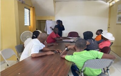 Diagnóstico de capacidades de OCB y OPD para Care Haïti