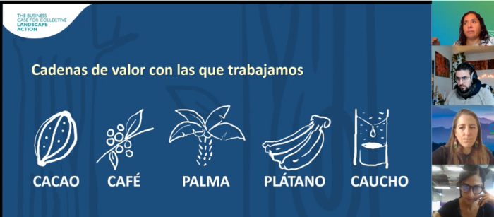 Assess corporate partner due diligence processes, recommend improvements and establish due diligence process – Peru