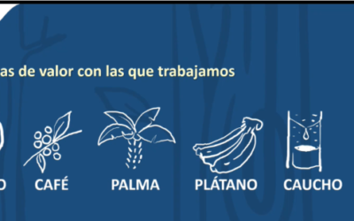 Evaluar los procesos de diligencia debida de las empresas asociadas, recomendar mejoras y establecer un proceso de diligencia debida – Perú