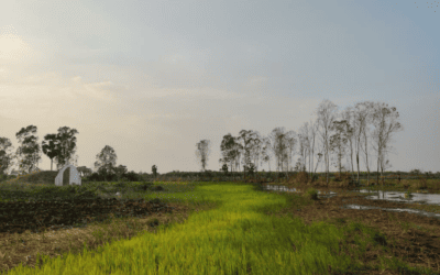 EIES et PAR préliminaire de lignes de transmission de 115 kV pour EDC – Cambodge