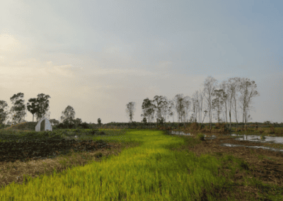 EIES et PAR préliminaire de lignes de transmission de 115 kV pour EDC – Cambodge