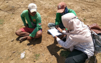 Mise en œuvre et suivi du PGES du Projet « Tier IV National Data Center » – Ellipse Projects – Indonésie