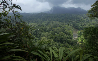 EIA y Marco de Mitigación de E&S para el «Sabah Landscapes Programme» de WWF – Malasia