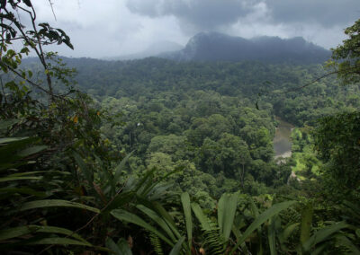 EIES et Cadre d’atténuation des incidences E&S pour le « Sabah Landscapes Programme » de WWF – Malaisie