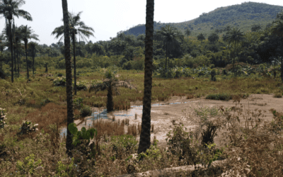 Identification and analysis study of the different options for the location of the waste treatment sites of the future technical waste management centre of Greater Conakry – Guinea