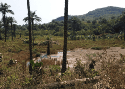 Etude d’identification et d’analyse des différentes options d’emplacement des sites de traitement des déchets du futur centre d’enfouissement technique du Grand Conakry – Guinée