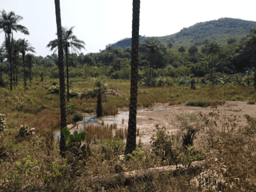 Identification and analysis study of the different options for the location of the waste treatment sites of the future technical waste management centre of Greater Conakry – Guinea