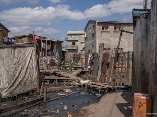 Appui-Conseil à l’Association Fonenana Mendrika (AFM) – Madagascar