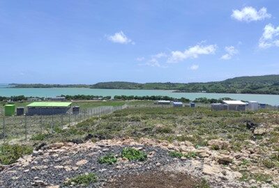 Fase 2 de la actualización de los documentos de salvaguardia ambiental y social para la ampliación del aeropuerto de Rodrigues, Mauricio