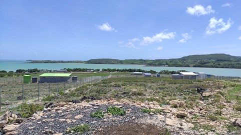 Phase 2 of the update of the environmental and social safeguard documents for the extension of Rodrigues airport, Mauritius