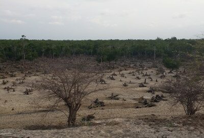 “Environmental and climate justice” opportunity study in Madagascar : operational perspectives for AFD