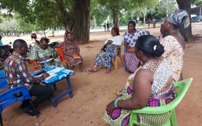 Preparación de planes de gestión medioambiental y social, participación de las partes interesadas y supervisión medioambiental y social para los hospitales en Kara y Lomé – Togo