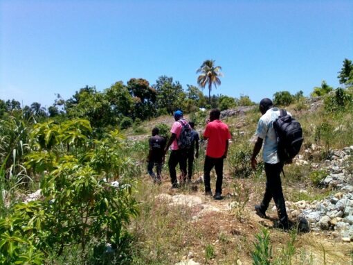 Final external evaluation of the PASAN-APROS project – Haiti
