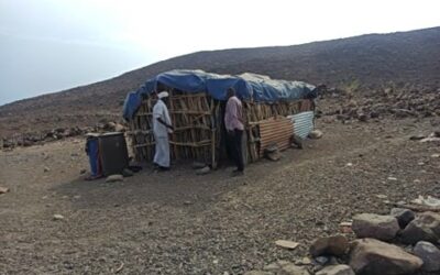 Engagement des parties prenantes pour ERM – Djibouti
