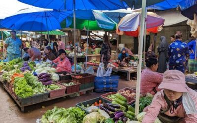 Updating the publication Sector Brief Cambodia: Agriculture and Food Processing – Cambodia