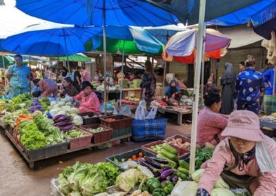 Updating the publication Sector Brief Cambodia: Agriculture and Food Processing – Cambodia