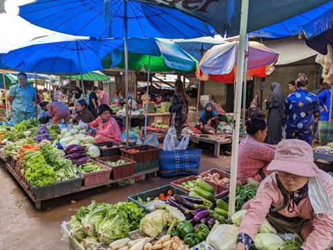 Updating the publication Sector Brief Cambodia: Agriculture and Food Processing – Cambodia