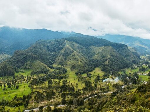 Proceso de reasentamiento individual de la comunidad de El Hatillo (fase 2) en el marco de un proyecto minero – Colombia