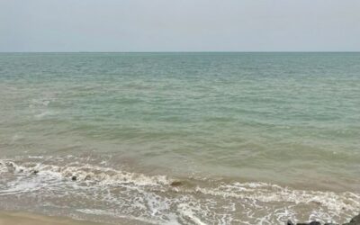Final evaluation of the PRAREV project – Djibouti