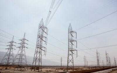 Updating of the ESIA and realization of a RPF for the Interconnection Line Project between Ethiopia and Djibouti – Djibouti – Ethiopia