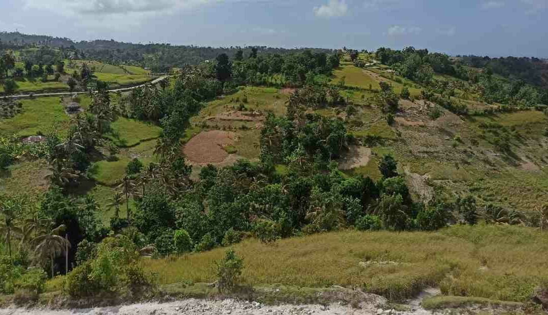 Apoyo a la evaluación del impacto en los derechos humanos de la cadena de valor del vetiver – Haiti
