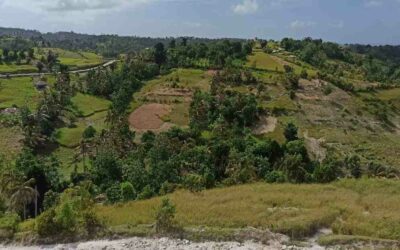 Support for human rights impact assessment of the vetiver value chain – Haiti