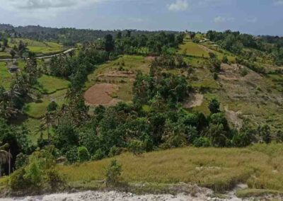 Apoyo a la evaluación del impacto en los derechos humanos de la cadena de valor del vetiver – Haiti