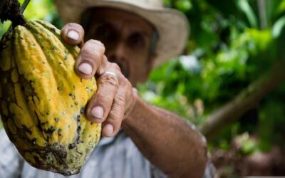 Technical Assistance in Agroforestry and Water Management Projects in Rural Areas – Colombia