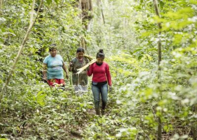 Final Evaluation of the ‘Unión Natural’ Project on Sustainable Forest Management in the Colombian Pacific – Colombia