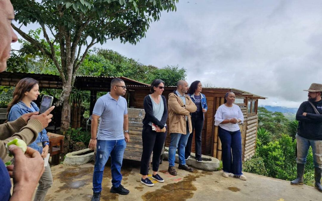 Diagnosis of the institutional, strategic and regulatory framework, and socio-environmental risk assessment of the Valle del Cauca Development Plan 2024-2027 – Colombia