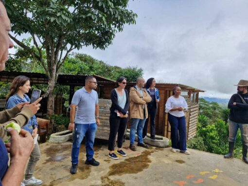 Diagnóstico del marco institucional, estratégico y regulatorio, y evaluación de riesgos socio-ambientales del Plan de Desarrollo de Valle del Cauca 2024- 2027 – Colombia